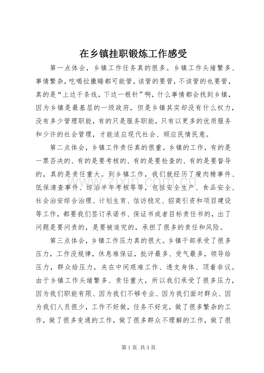 在乡镇挂职锻炼工作感受.docx_第1页