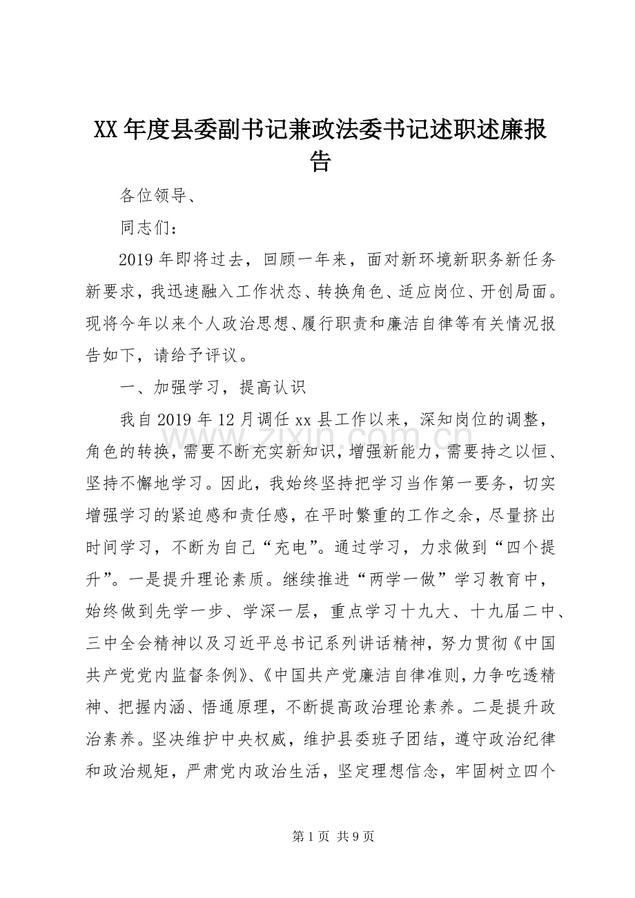 XX年度县委副书记兼政法委书记述职述廉报告.docx_第1页