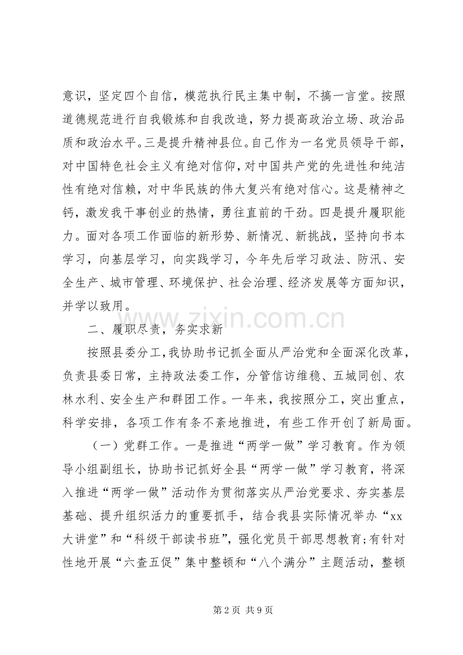 XX年度县委副书记兼政法委书记述职述廉报告.docx_第2页