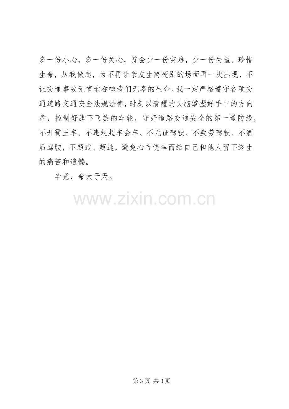 XX年交通安全教育学习心得体会：命大于天.docx_第3页