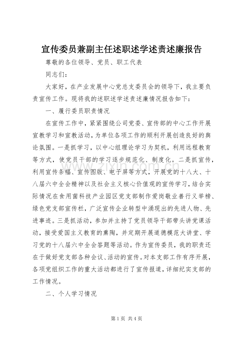 宣传委员兼副主任述职述学述责述廉报告.docx_第1页