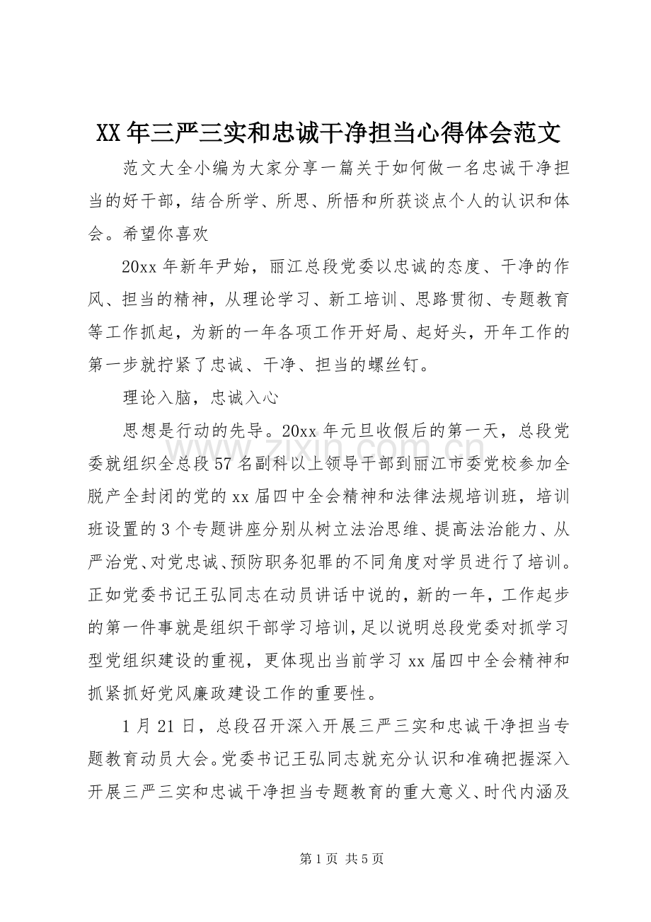 XX年三严三实和忠诚干净担当心得体会范文.docx_第1页