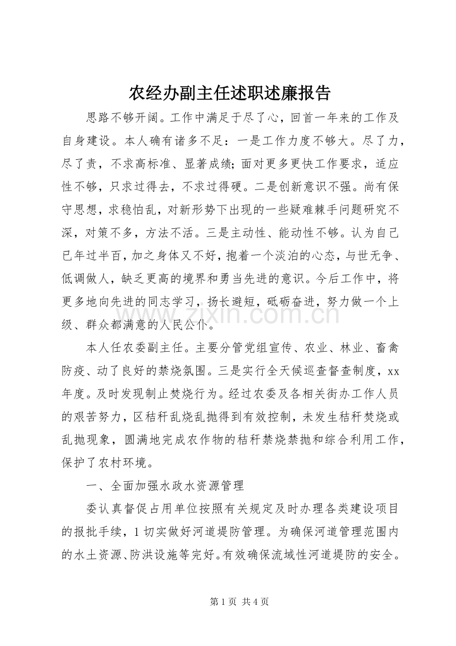 农经办副主任述职述廉报告.docx_第1页