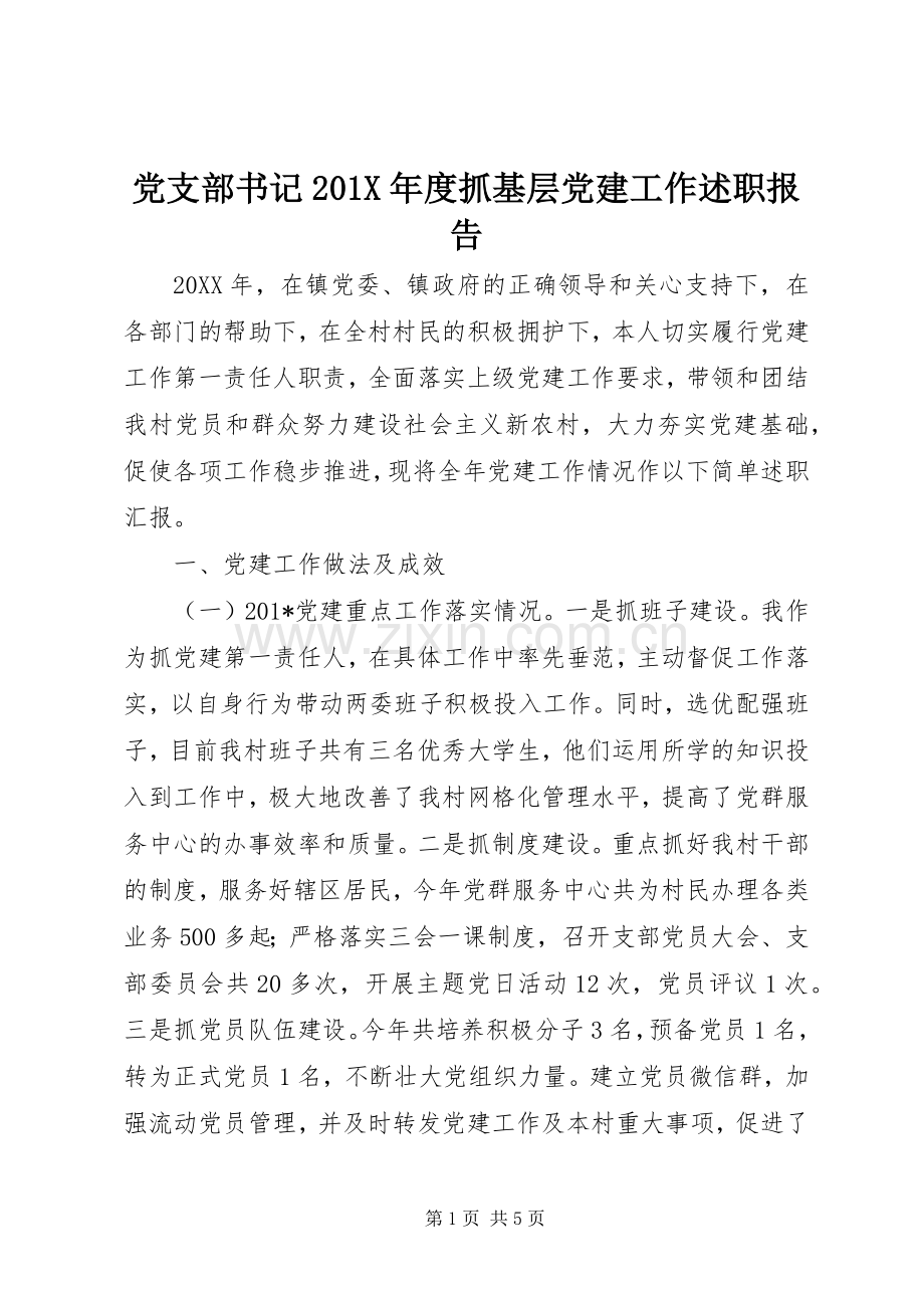 党支部书记201X年度抓基层党建工作述职报告.docx_第1页