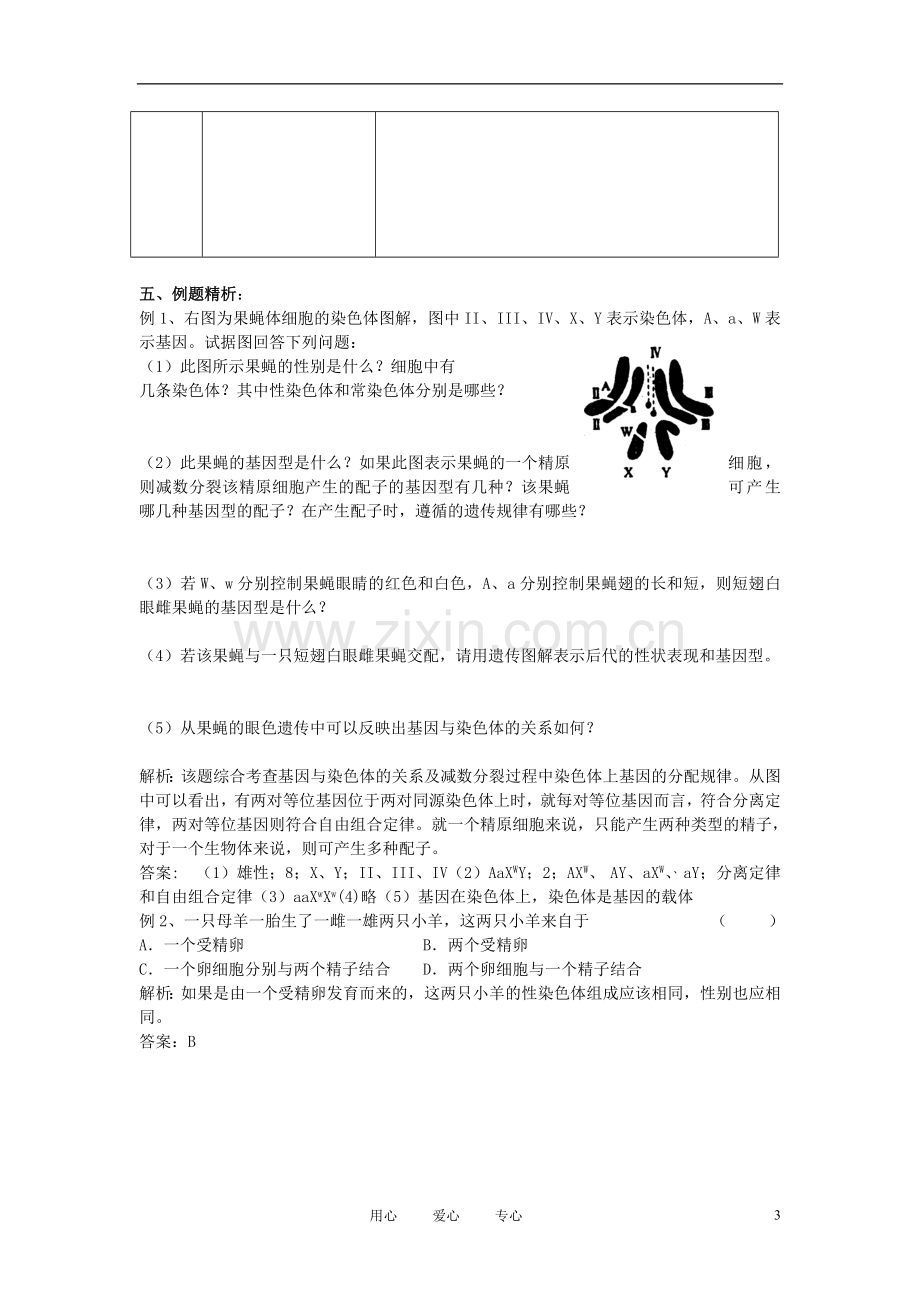 高中生物《认识基因》学案3-中图版必修2.doc_第3页