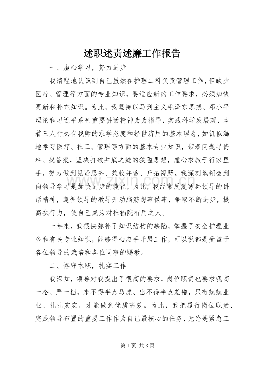 述职述责述廉工作报告.docx_第1页