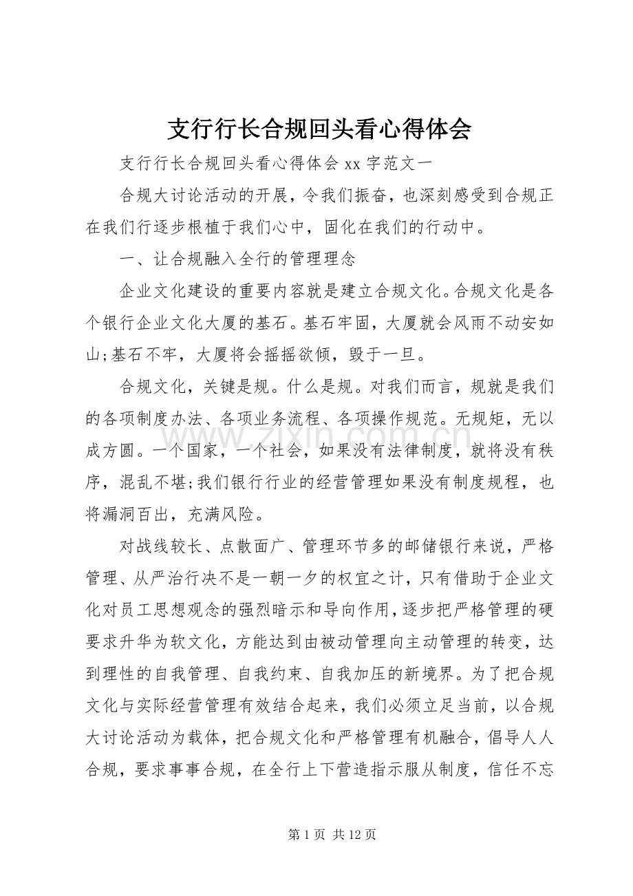 支行行长合规回头看心得体会.docx_第1页