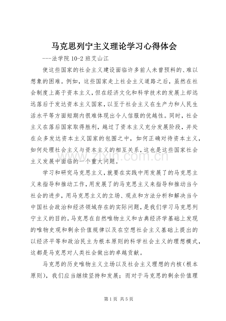 马克思列宁主义理论学习心得体会.docx_第1页