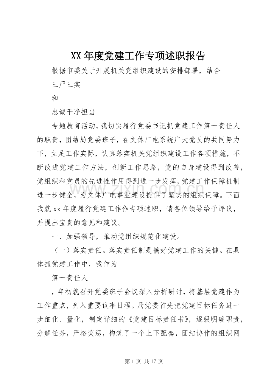 XX年度党建工作专项述职报告.docx_第1页