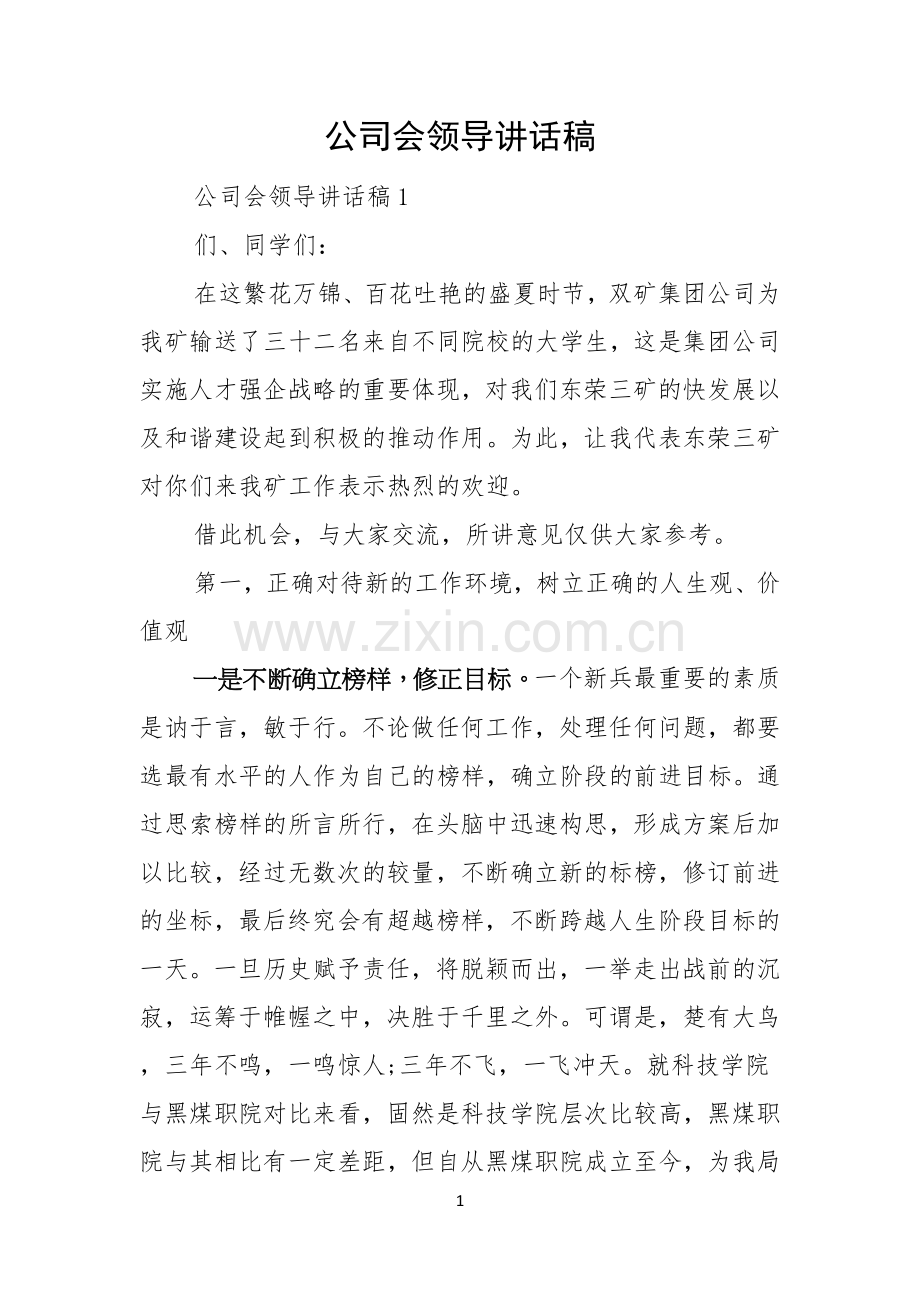 公司会领导讲话稿.docx_第1页