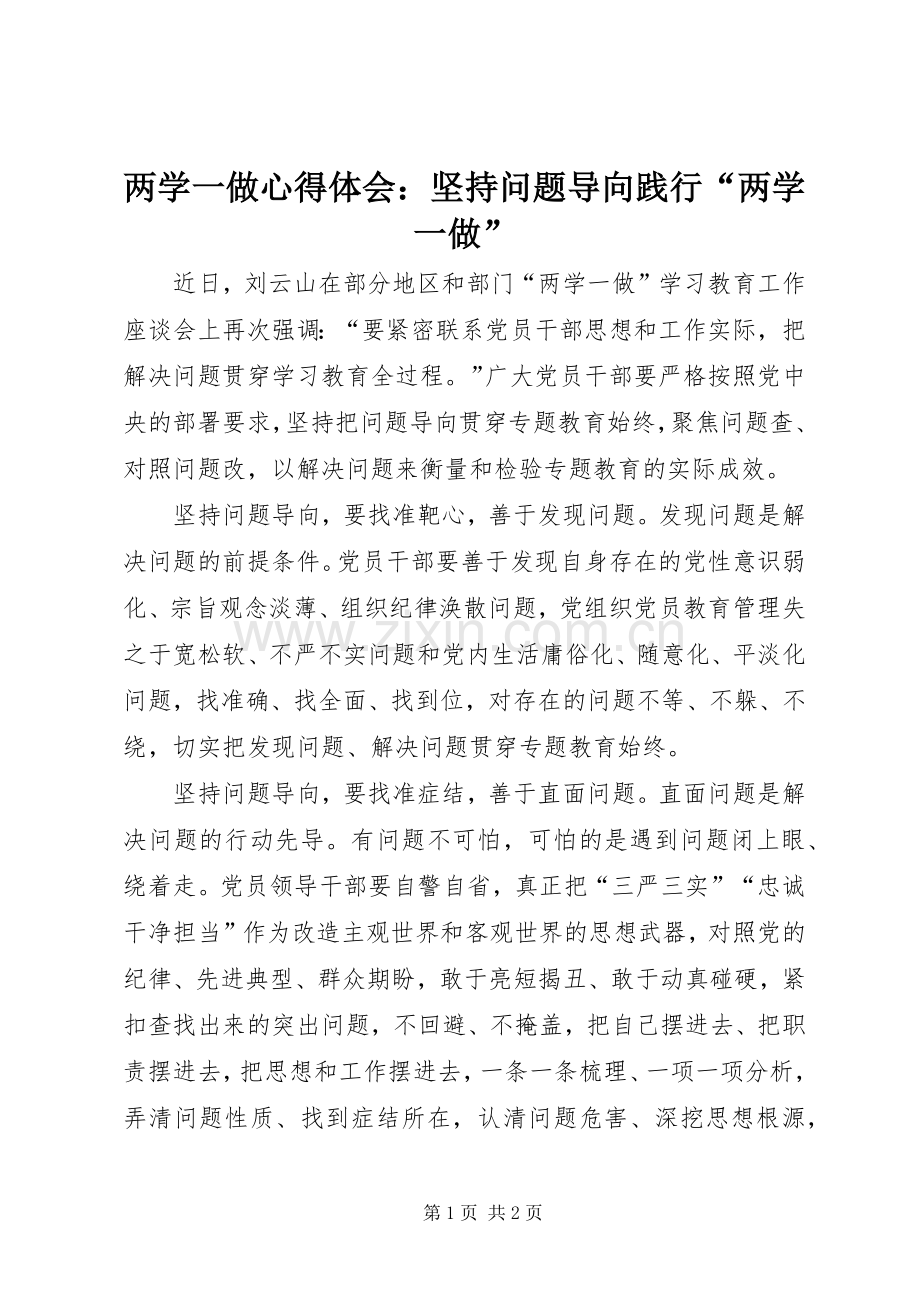 两学一做心得体会：坚持问题导向践行“两学一做”.docx_第1页