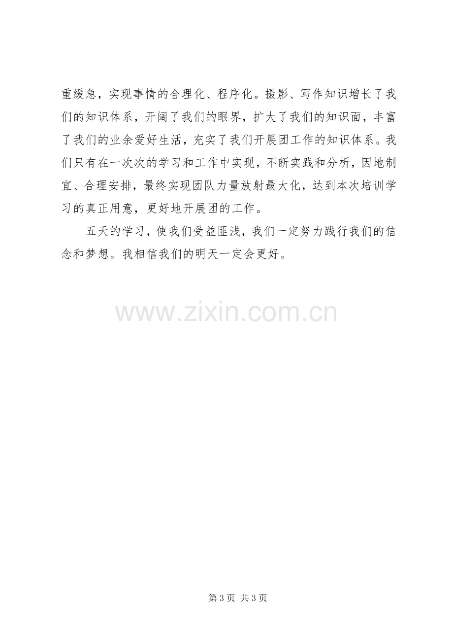 团支部书记培训心得.docx_第3页