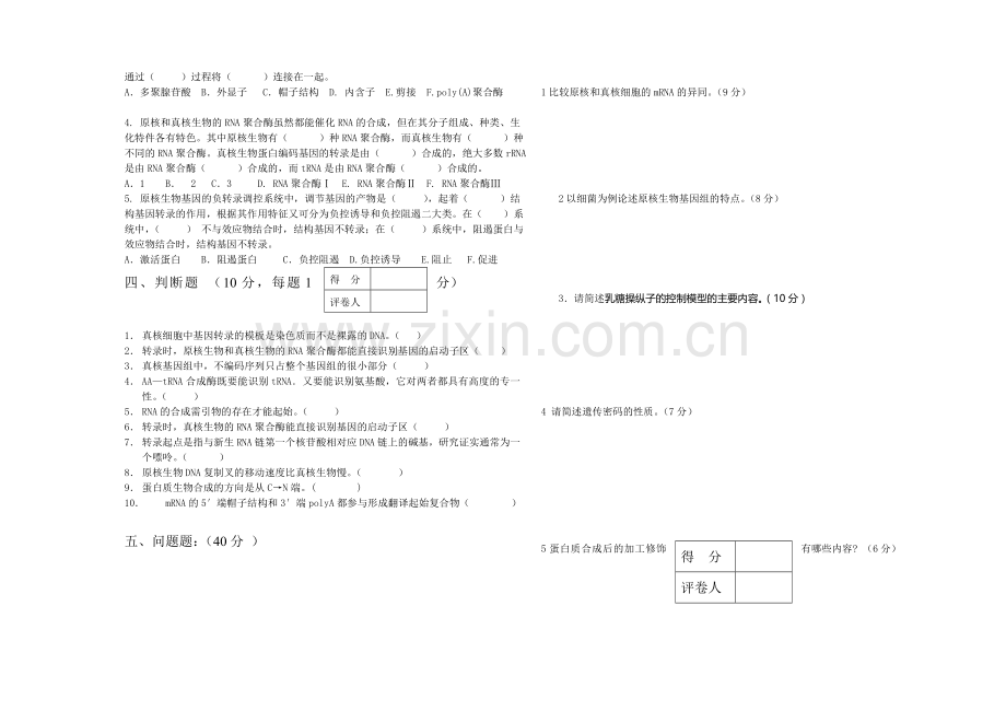 完整word版-《分子生物学》期考试卷及答案.doc_第3页