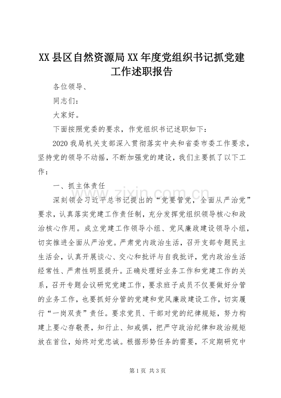 XX县区自然资源局XX年度党组织书记抓党建工作述职报告.docx_第1页