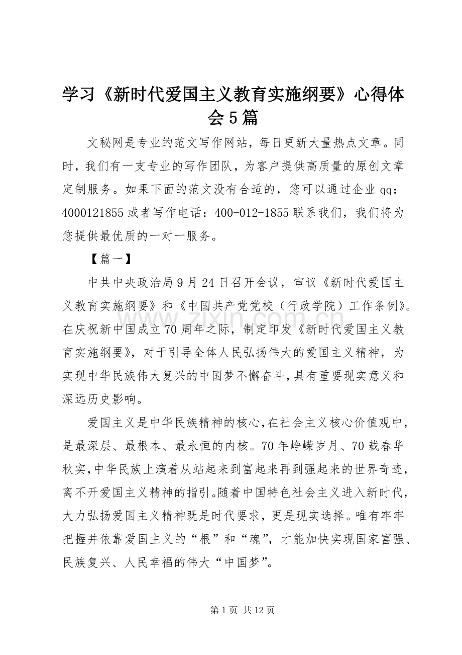 学习《新时代爱国主义教育实施纲要》心得体会5篇.docx_第1页