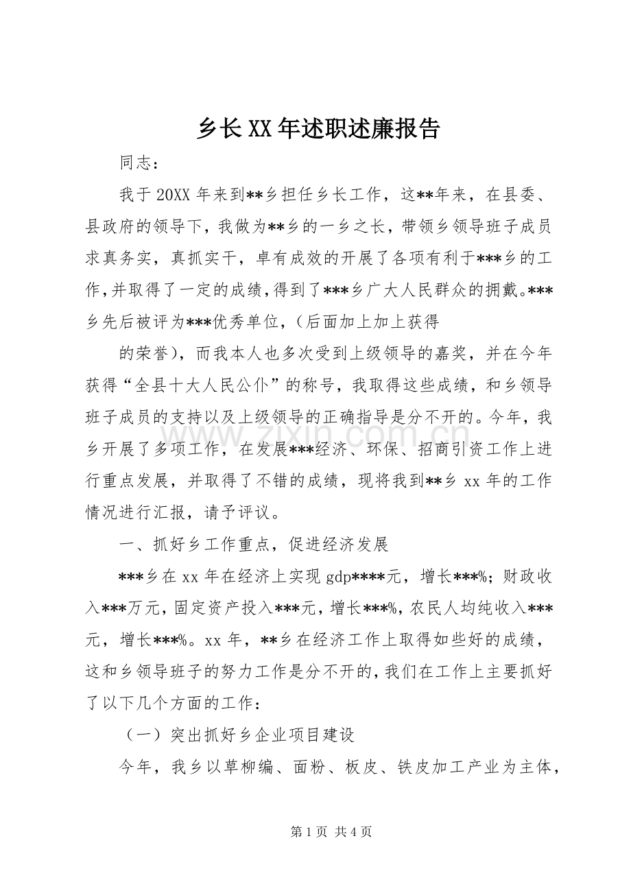 乡长XX年述职述廉报告.docx_第1页