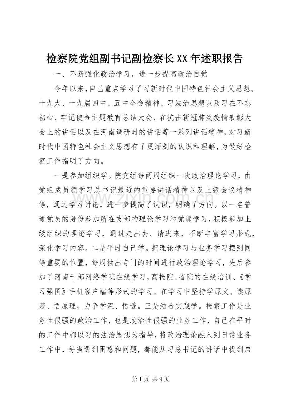 检察院党组副书记副检察长XX年述职报告.docx_第1页