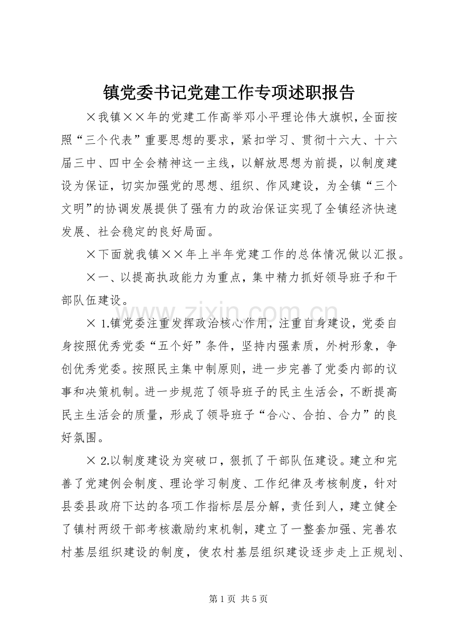 镇党委书记党建工作专项述职报告.docx_第1页