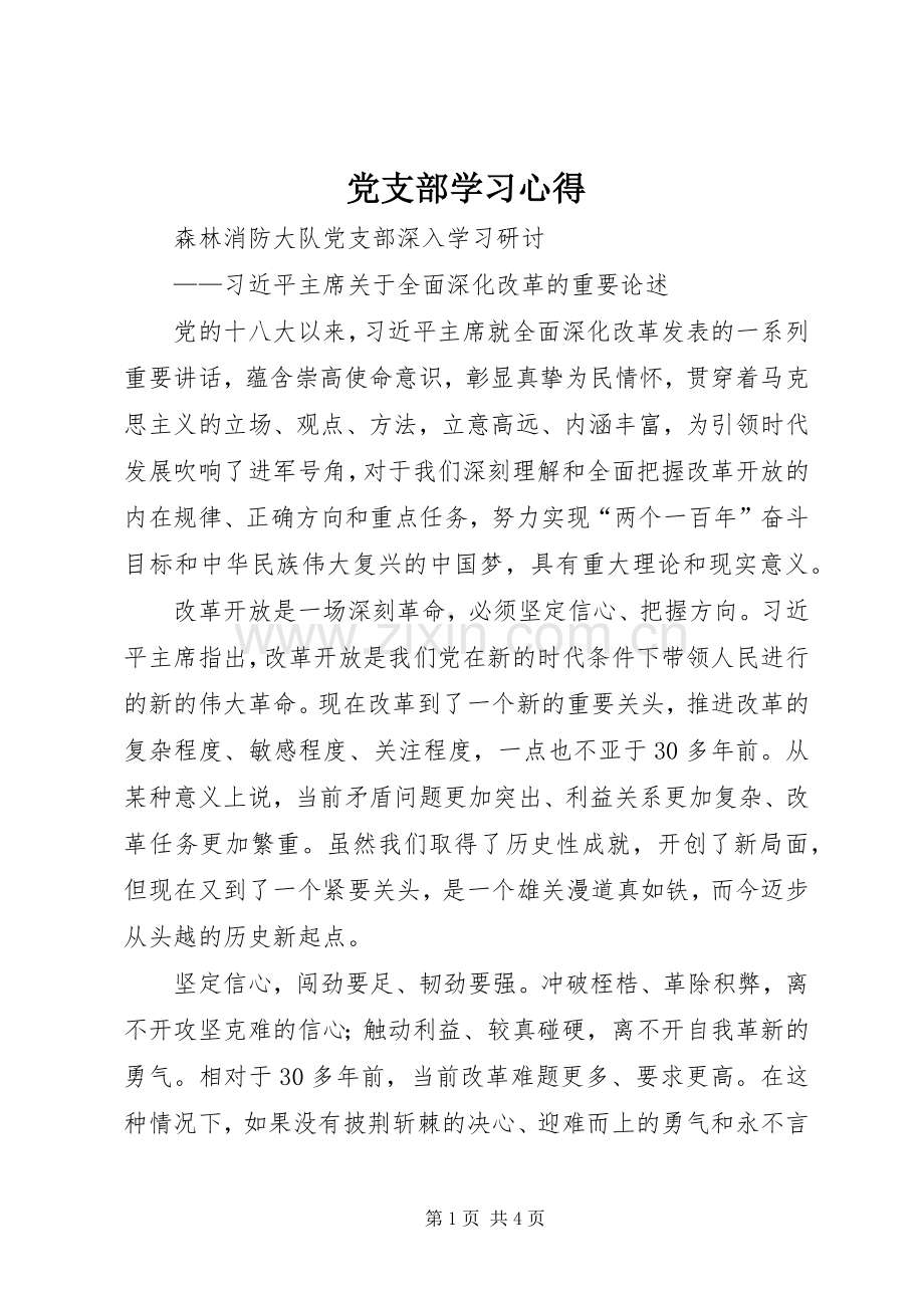 党支部学习心得.docx_第1页