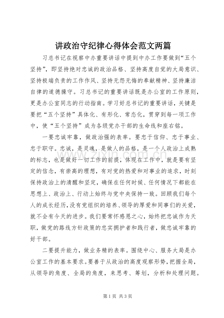 讲政治守纪律心得体会范文两篇.docx_第1页