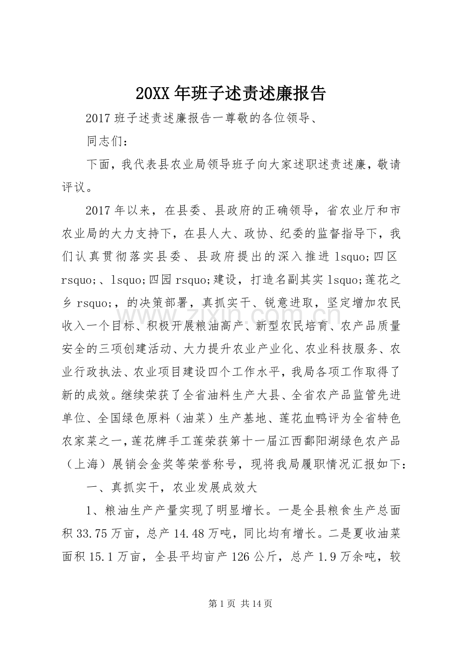 20XX年班子述责述廉报告.docx_第1页