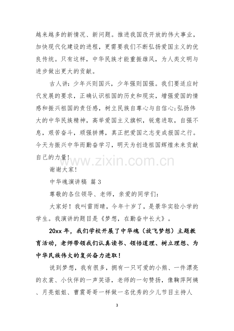 关于中华魂演讲稿范文汇编五篇.docx_第3页