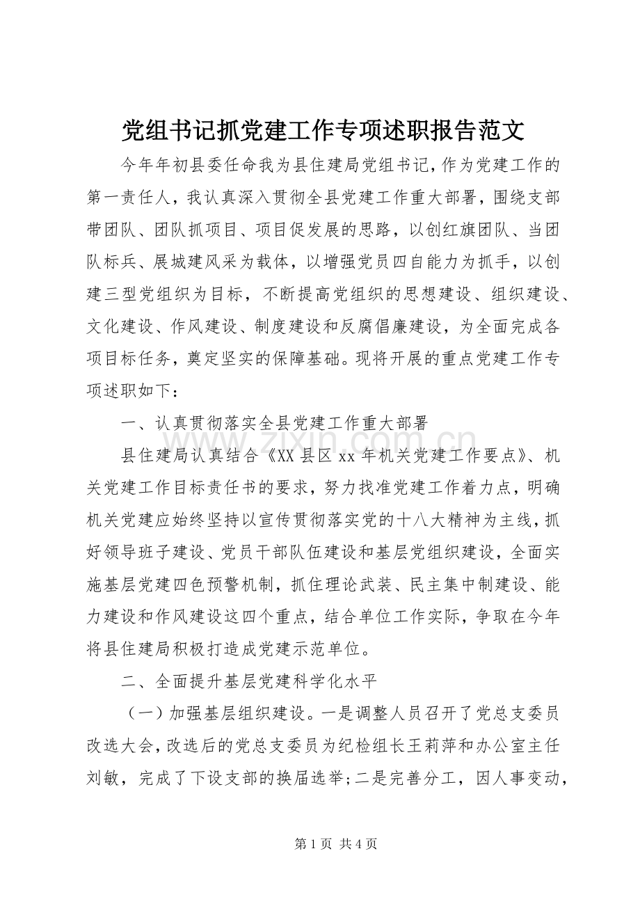 党组书记抓党建工作专项述职报告范文.docx_第1页