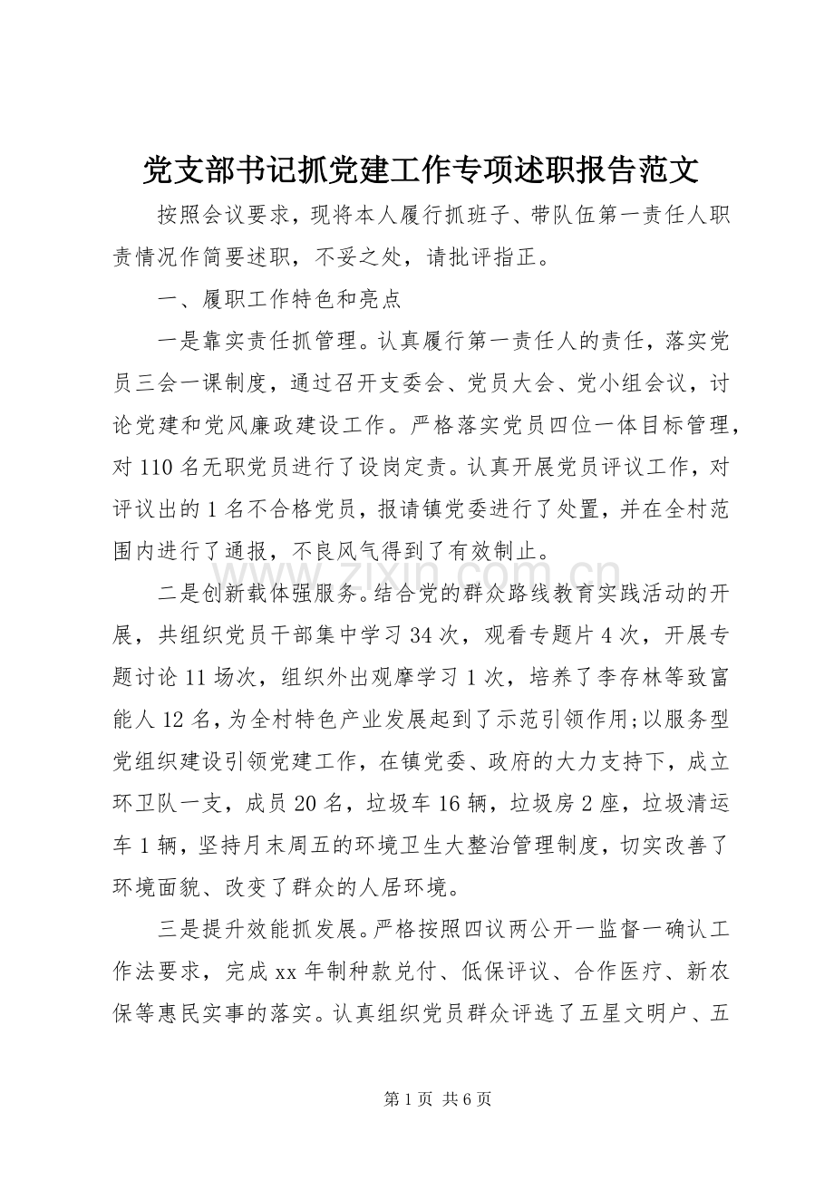 党支部书记抓党建工作专项述职报告范文.docx_第1页