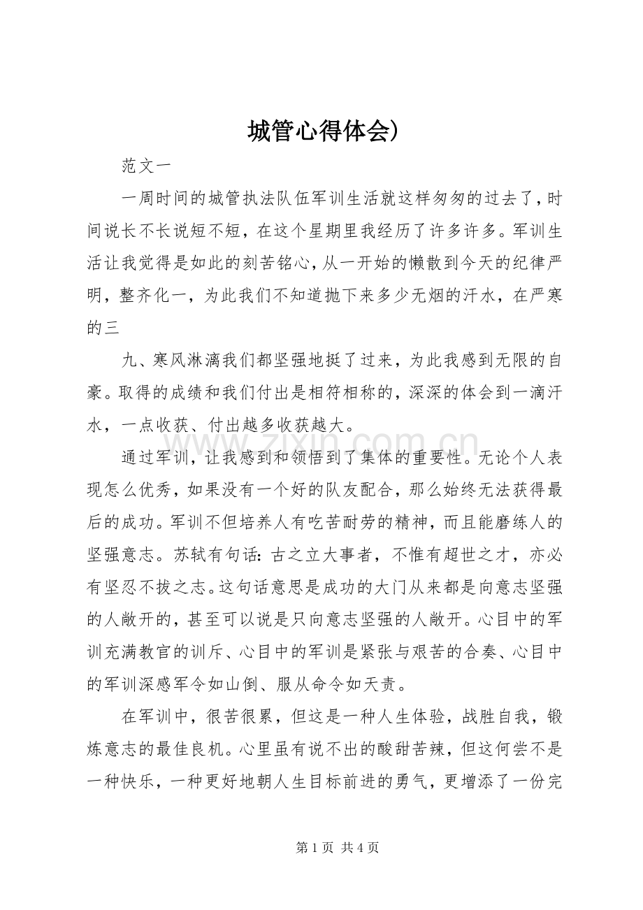 城管心得体会).docx_第1页