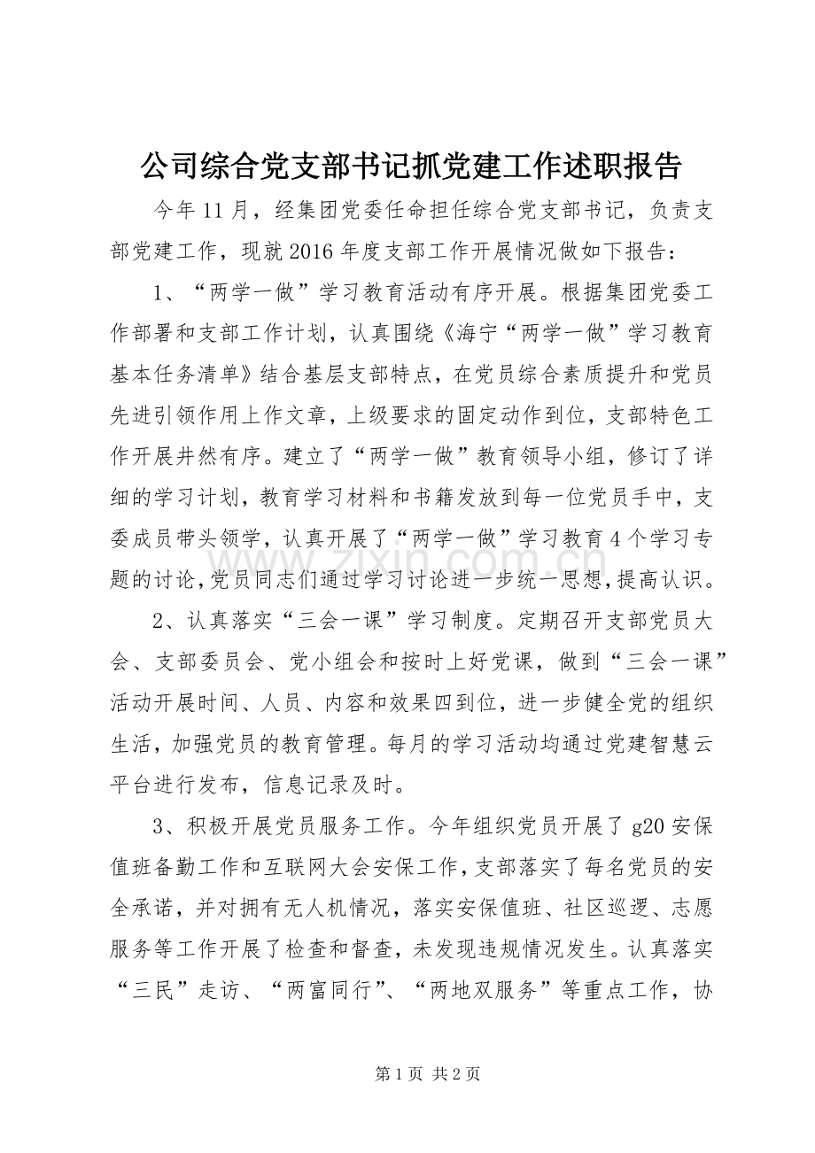 公司综合党支部书记抓党建工作述职报告.docx_第1页