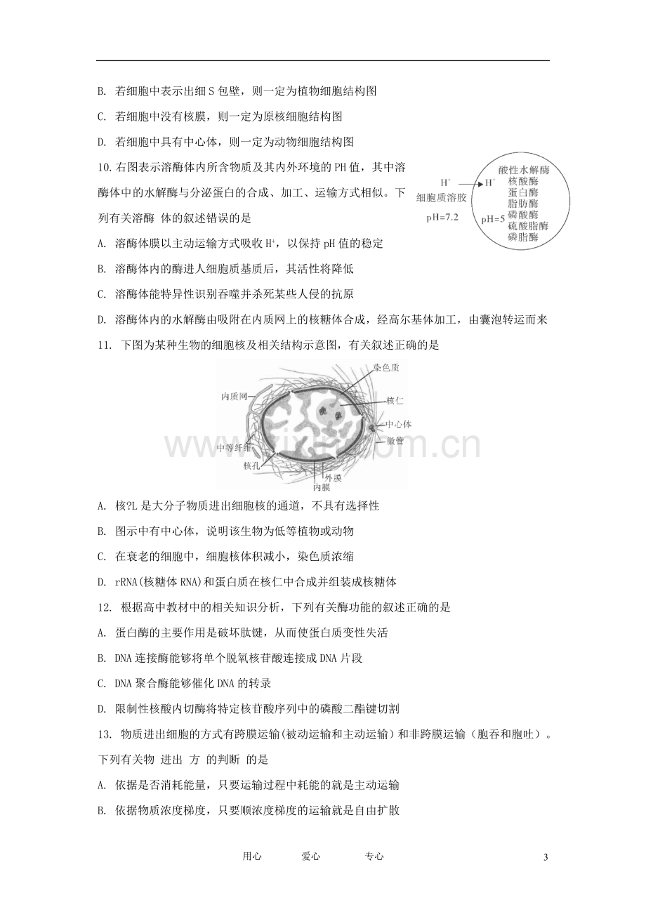 安徽省示范高中高三生物第一次联考试题新人教版.doc_第3页