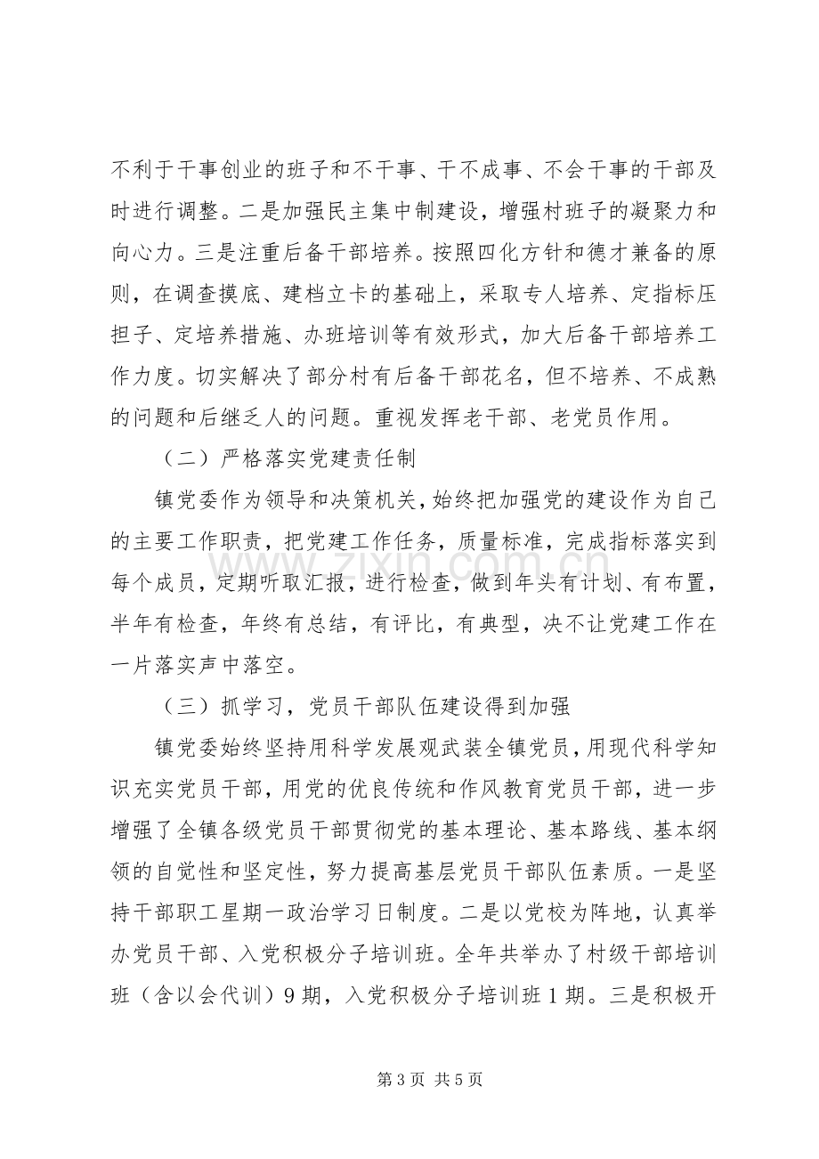 XX年党委书记抓党建述职报告范文.docx_第3页