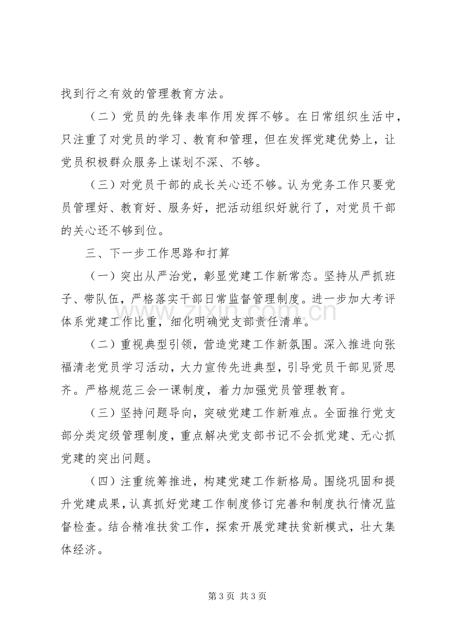 村支部书记XX年度述职报告.docx_第3页