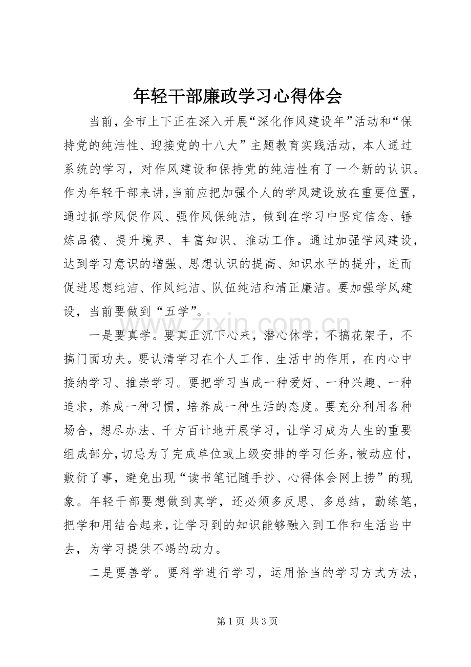 年轻干部廉政学习心得体会.docx_第1页