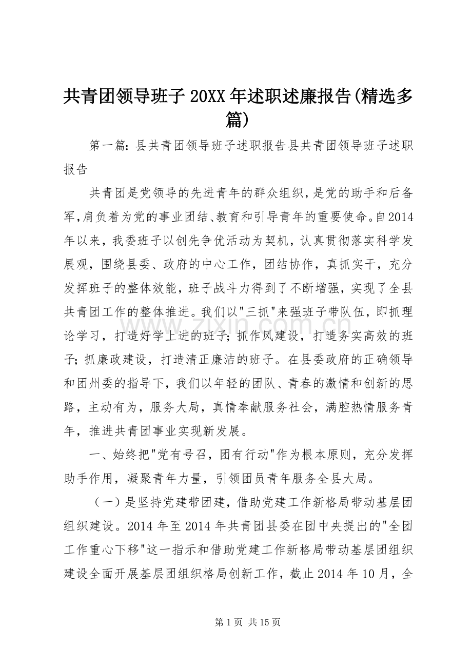 共青团领导班子20XX年述职述廉报告(多篇).docx_第1页