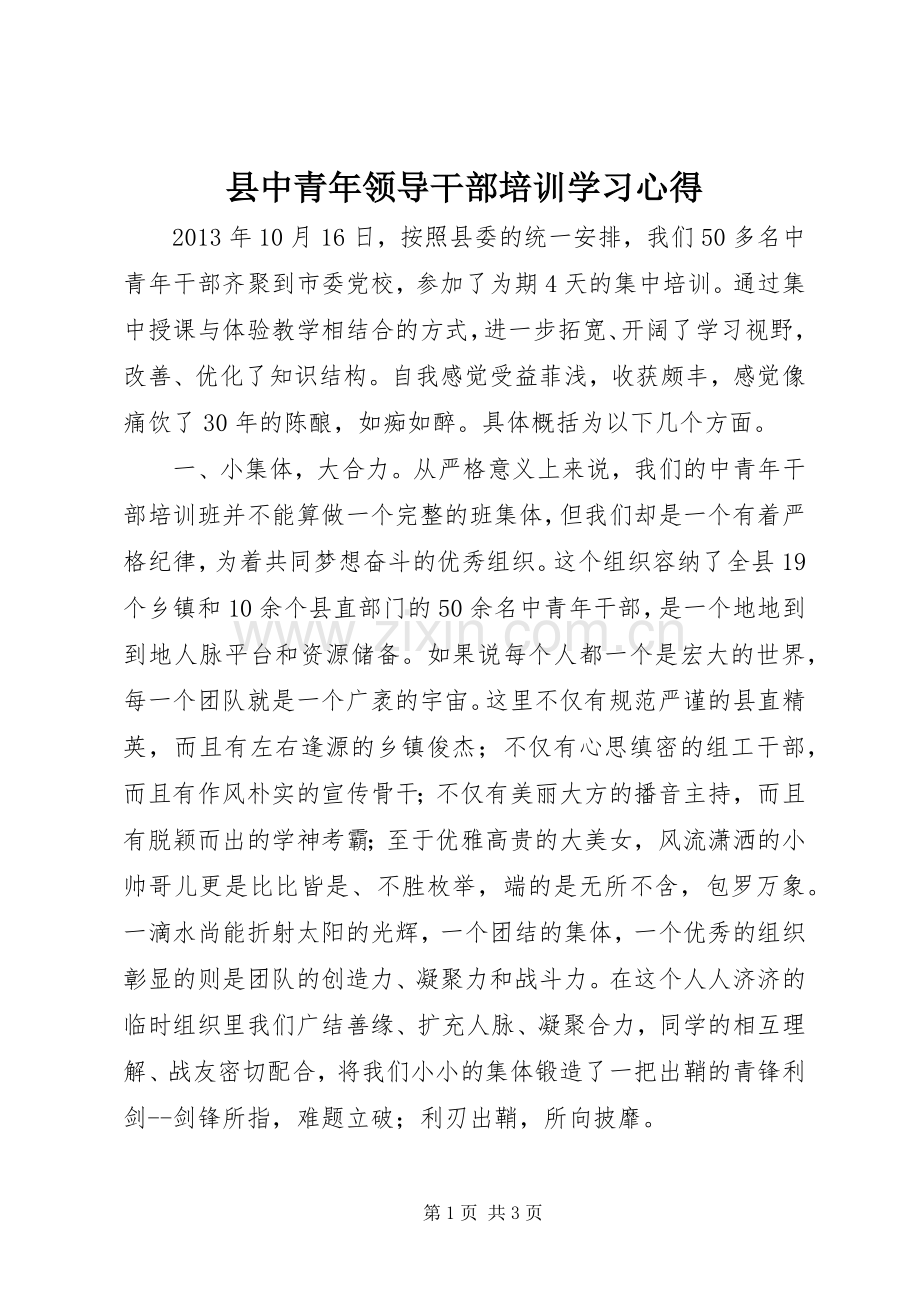 县中青年领导干部培训学习心得.docx_第1页