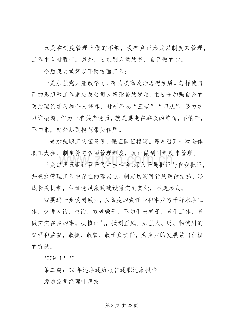 述职述廉报告09专题.docx_第3页