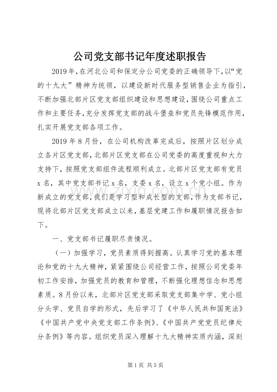 公司党支部书记年度述职报告.docx_第1页