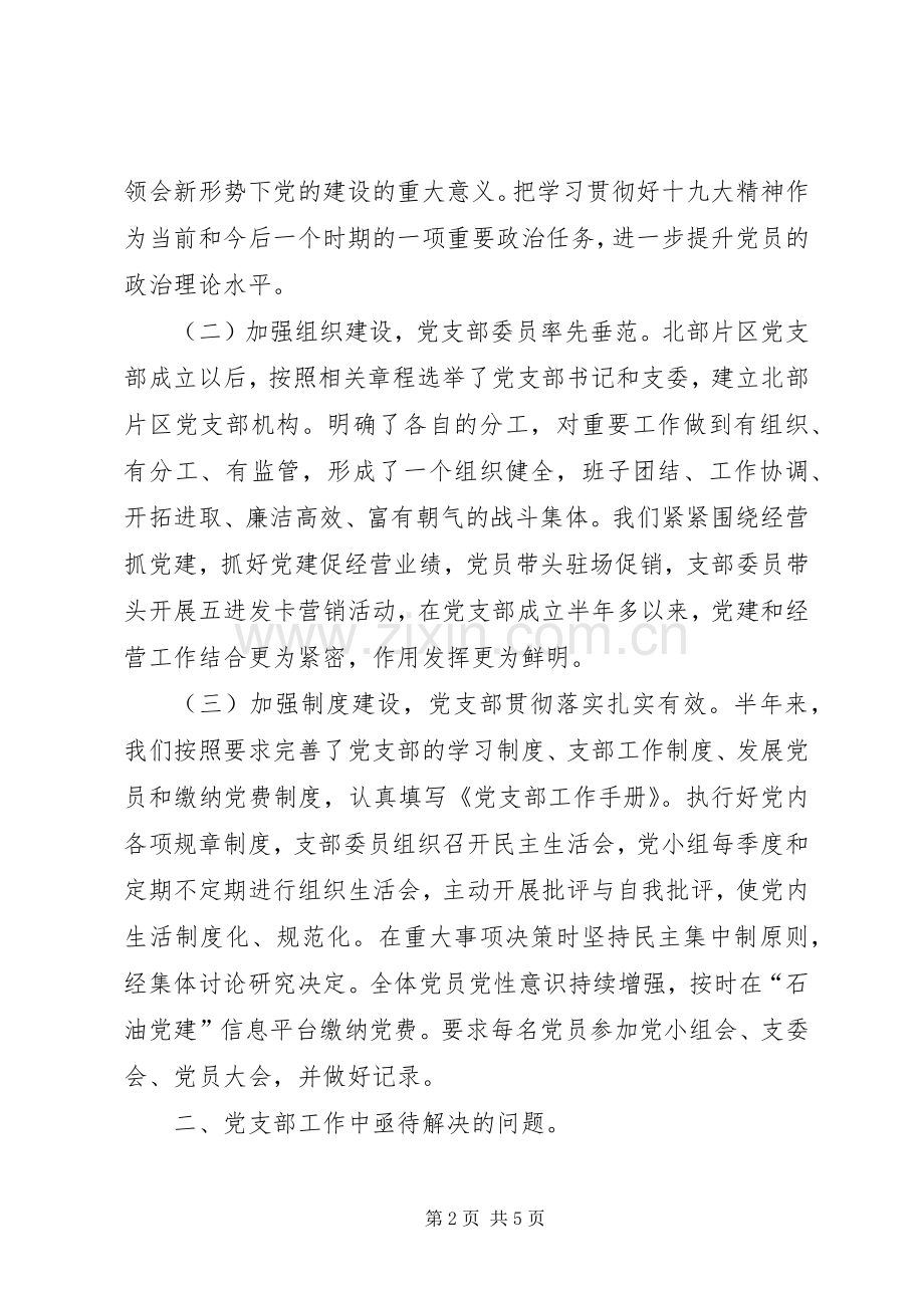 公司党支部书记年度述职报告.docx_第2页