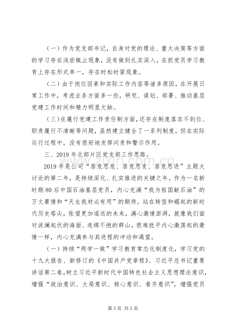 公司党支部书记年度述职报告.docx_第3页