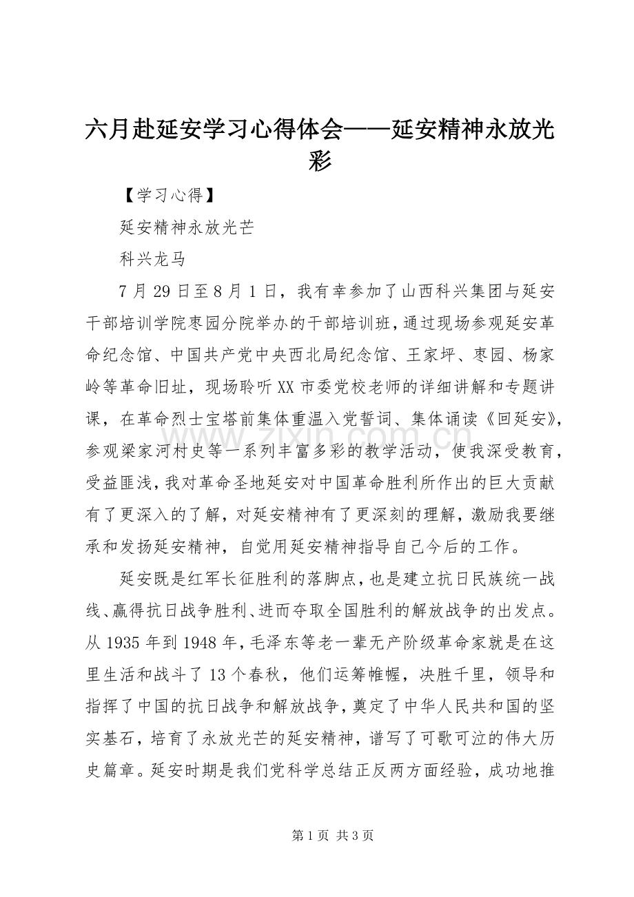 六月赴延安学习心得体会——延安精神永放光彩.docx_第1页