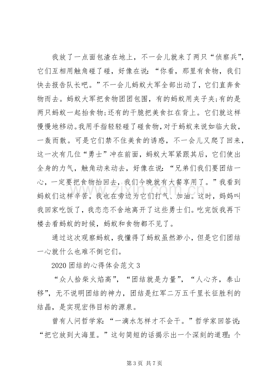 20XX年团结的心得体会多篇.docx_第3页