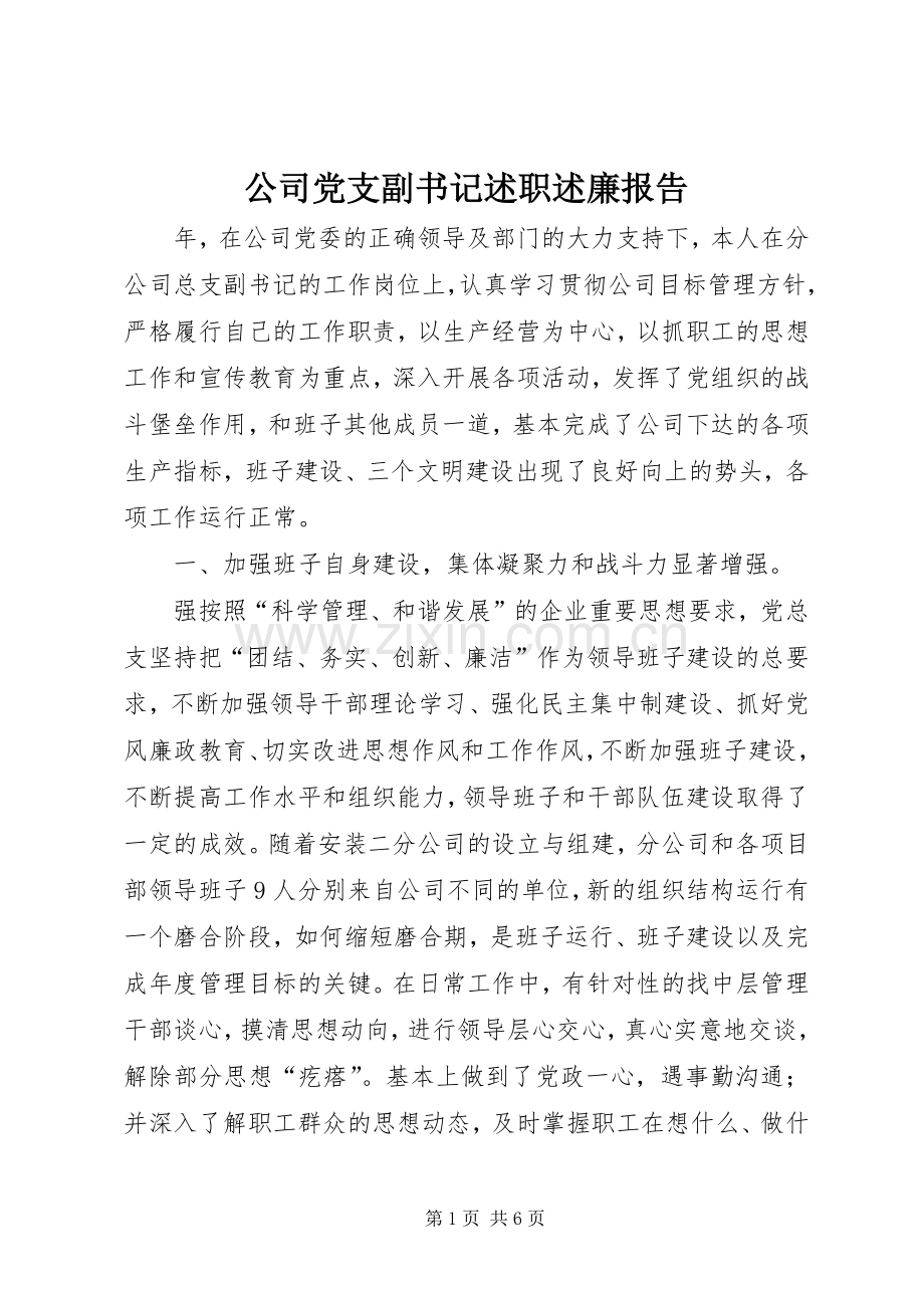 公司党支副书记述职述廉报告.docx_第1页