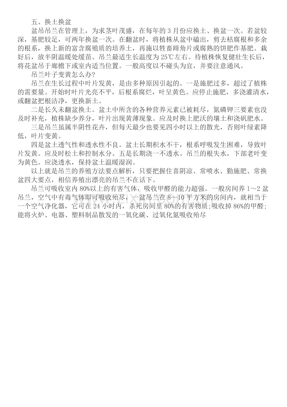 吊兰的养殖方法图解 注意事项全拆招.doc_第2页