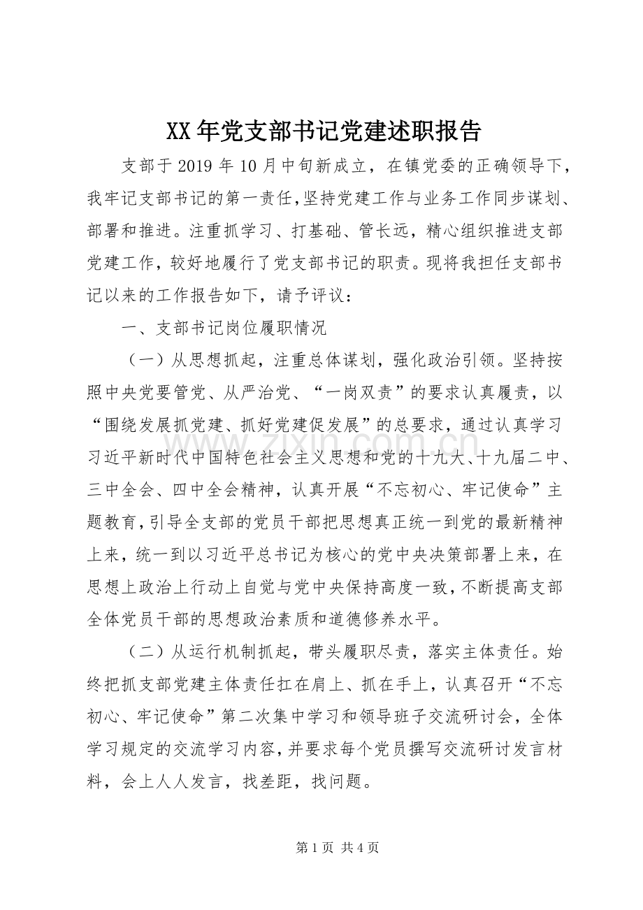 XX年党支部书记党建述职报告.docx_第1页