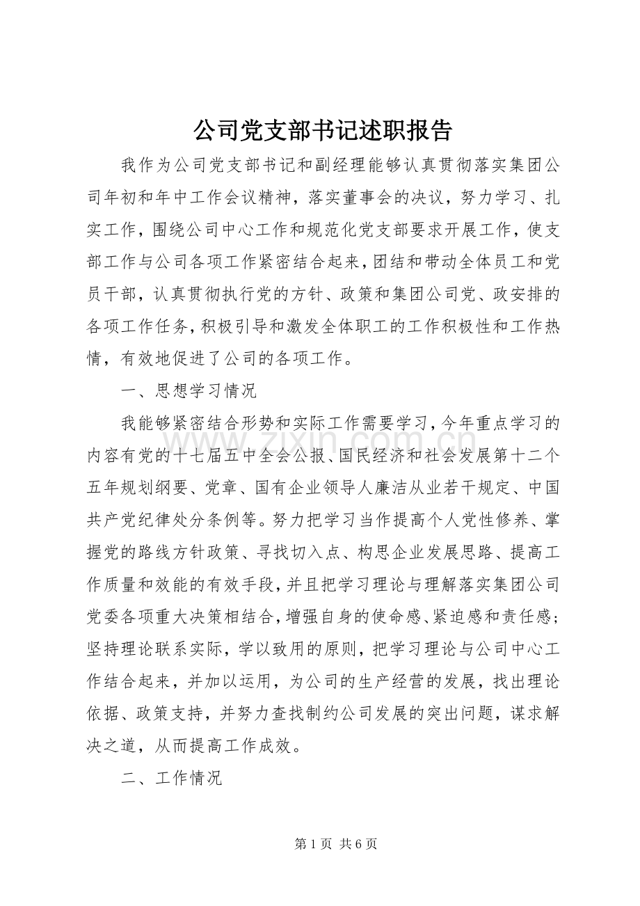 公司党支部书记述职报告.docx_第1页