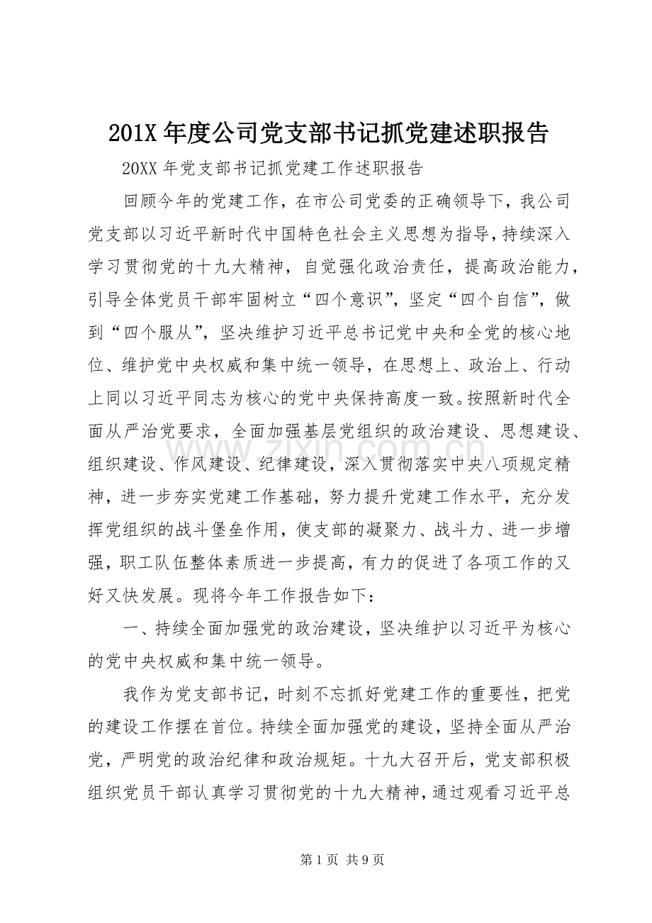 201X年度公司党支部书记抓党建述职报告.docx_第1页