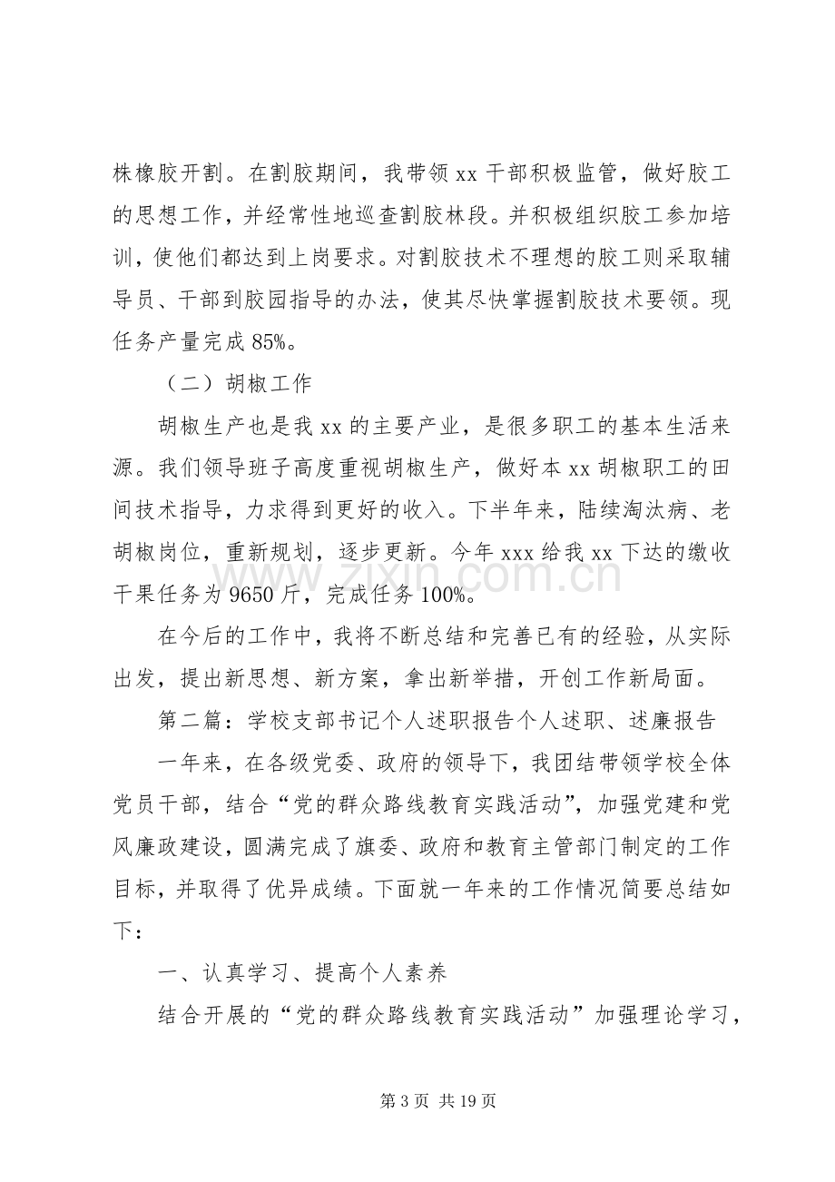 乡镇支部书记个人述职报告.docx_第3页