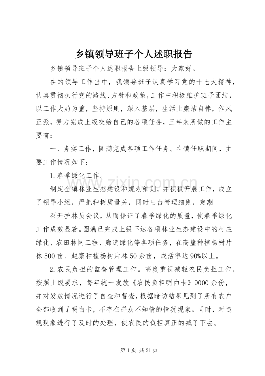 乡镇领导班子个人述职报告.docx_第1页