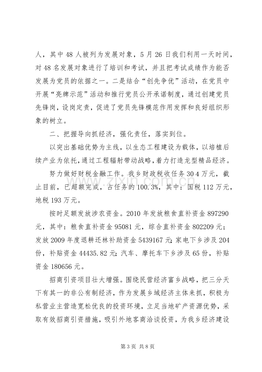 乡党委书记述职报告.docx_第3页